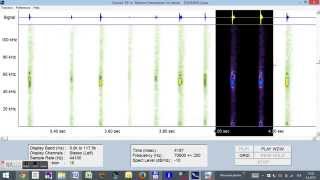 Batscan-manual_SK
