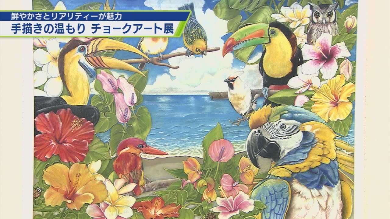 Hand-drawn Warmth: Chalk Art Exhibition [TV Tokushima] - YouTube