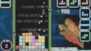 Tetris DX (Standard - Vs. Com)