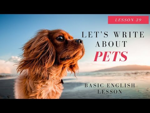 Basic English Lesson 39 Making Sentences about Pets