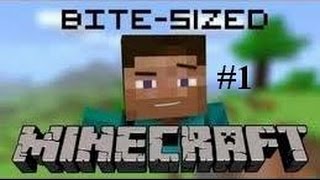 [Vietsub] Phim ngắn Minecraft #1 (Hài minecraft bựa)