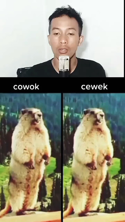 PERBEDAAN CEWE & COWO KETIKA TERIAK   #ahmadkasiby