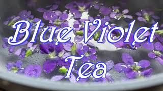 Blue Violet Tea 🍵 Will it Turn Blue?