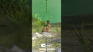 Rabbit Hunting With Sniper #rabbit #sniper #shorts 🐰 screenshot 3