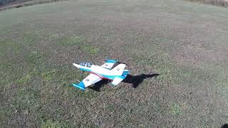Freewing L-39 Albatros 80mm Flt 10 Bee won't go away! Easy take-off! Let's go fly! Sideways landing!