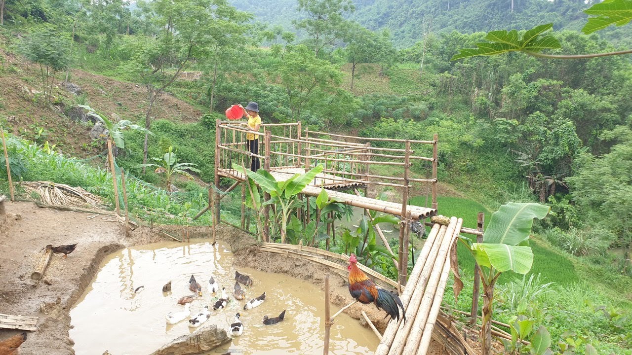 grow vegetables sweet potatoes, small farm , live with nature ,  mountain life Ep 30