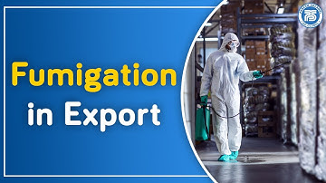 How to do Fumigation in Wooden Box for Export | Practical Training by Paresh Solanki