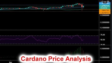 Cardano (ADA) Price Analysis  21 May 2021 | Market Cap |Crypto News Today
