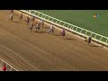 2025 Longines Breeders' Cup Distaff - Scylla