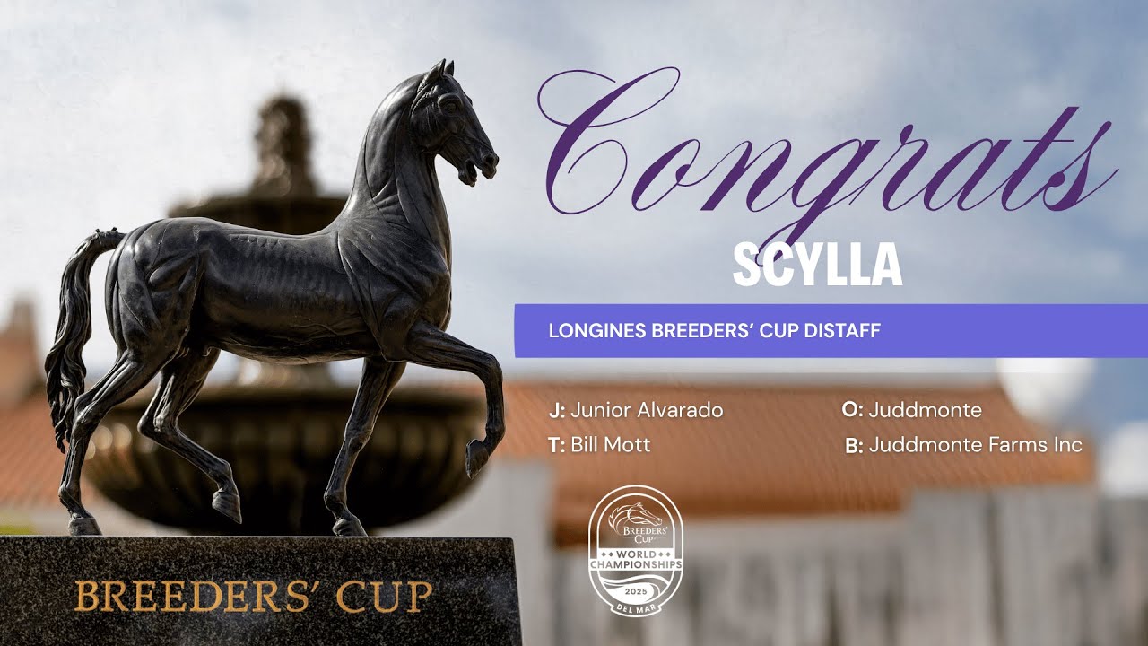 2025 Longines Breeders' Cup Distaff - Scylla