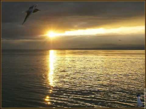 Ahmed Chawki Kaina Ola Makainach كاينة ولا مكيناش 