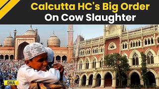 Bengal News: 'Cow Slaughter Not Part Of Id-Uz-Zoha': HC Upholds Slaughter Curbs