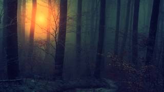[Liquid Dnb] Kaira - Whispers in the Dark