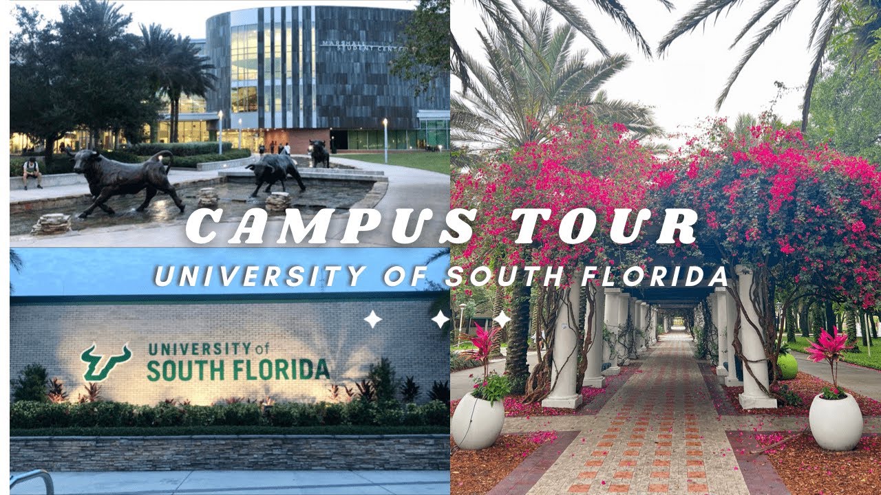 university of south florida virtual tour