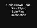 Chris Brown - Flying Solo/Final Destination FULL ! + lyrics