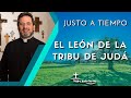 El león de la tribu de Judá - Padre Pedro Justo Berrío