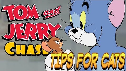 Here Are The Tips For Cats [Tom and Jerry Chase]