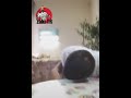 اااارباني وأنا مقواني