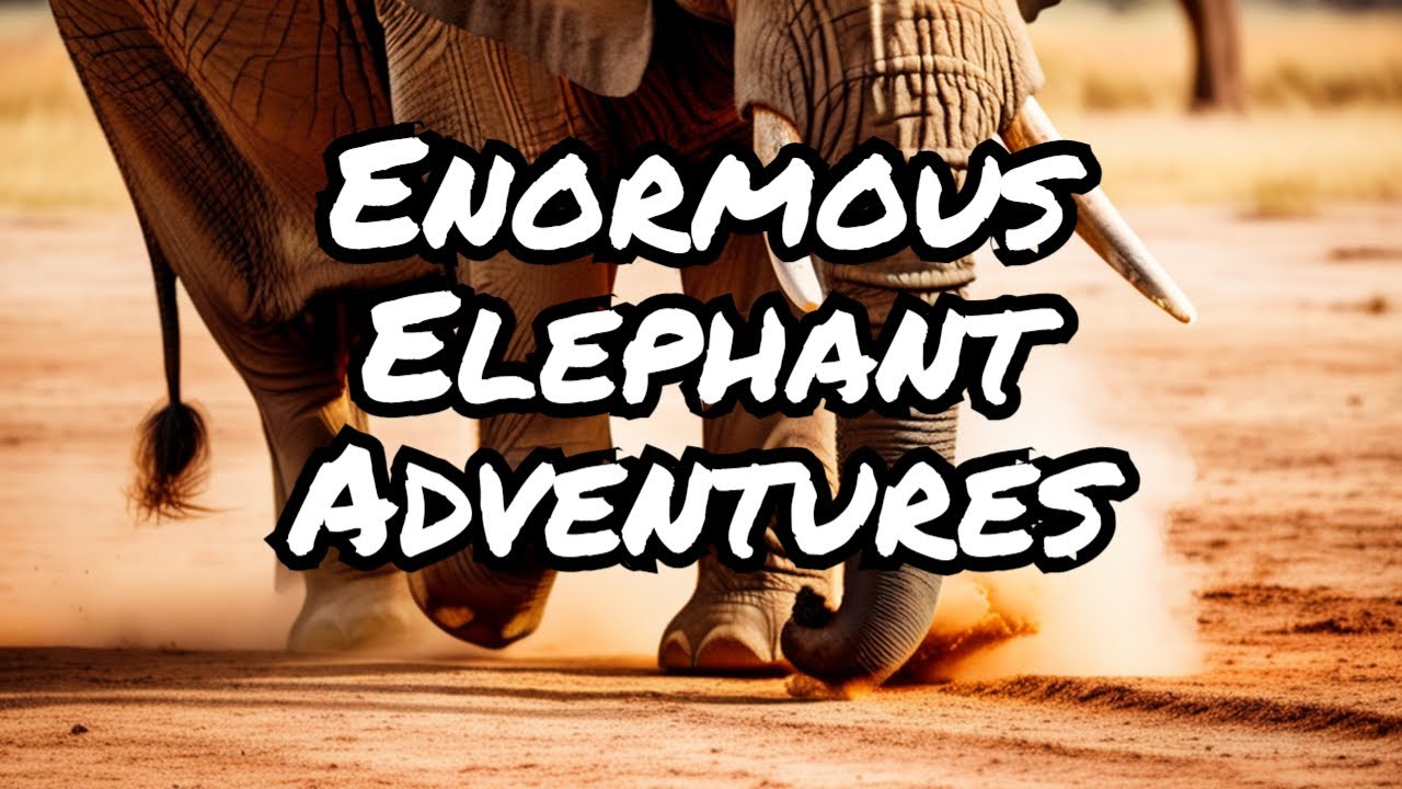 How elephants communicate through their feet. YouTube