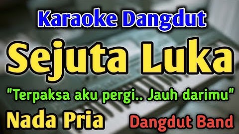 SEJUTA LUKA - KARAOKE || NADA PRIA COWOK || Dangdut Band || Rita Sugiarto