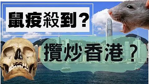 [鼠疫变沙士2.0?]恐怖肺鼠疫已在国内爆发,会人传人,死亡率超高,会否揽炒香港变沙士翻版?就看这点... - 天天要闻