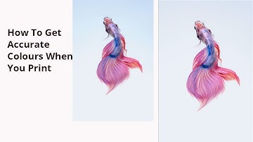 How to get accurate colours when you print