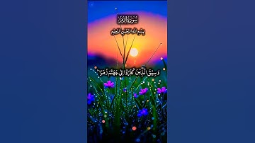 تلاوة خاشعة بصوت جميل ومؤثر #قران_كريم #قرآن #elmulquranعلم #المصحف #duet #اكسبلور