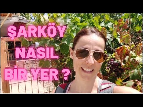 Şarköy Nasıl Bir Yer ? Vlog.