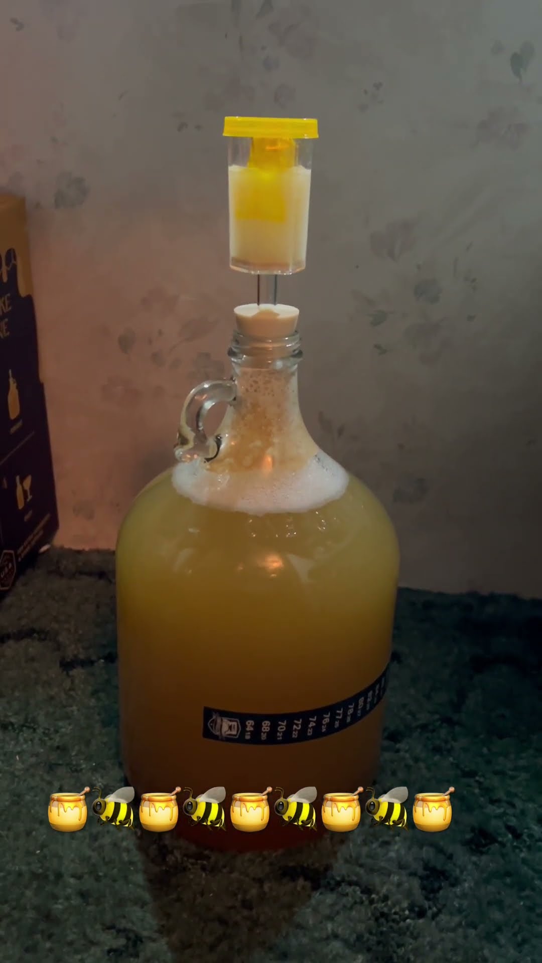Day 2 Pre Degassing And Day 2 Nutrients honey bee diy mead Day 2 Pre Degassing And Day 2 Nutrients honey bee diy mead