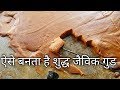 क्यों खाते हो जहरीला गुड़ | आओ बनाएं गन्ने के रस से जैविक गुड़ making of organic jaggery ,full process