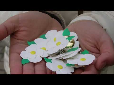 Белый цветок благотворительная акция своими руками видео