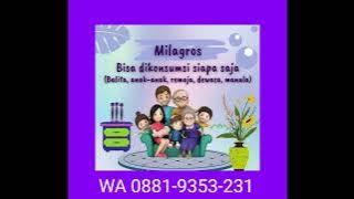 WA 0881-9353-231 Agen Milagros Sukalaksana, Agen Milagros Sukawana, Agen Milagros Tinggar