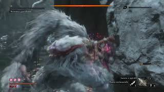 Guardian Ape (Reflections of Strenght) / (Bell Demon - No Kuro's Charm) / NO DAMAGE