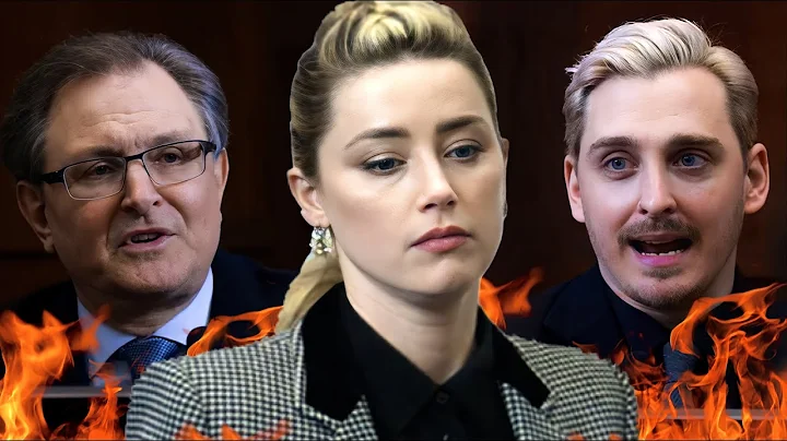 Witnesses and Experts DESTROY Amber Heard's Evidence