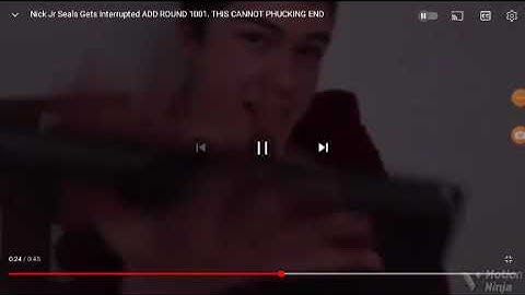 Nick Jr Seals Gets Interrupted Add Round 1002 V3