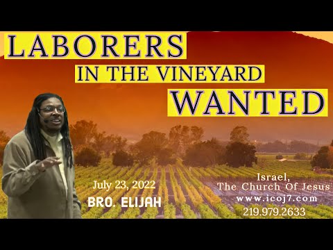 LABORERS IN THE VINEYARD WANTED