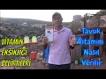 Tavukların İhtiyaç Duyduğu Vitaminler 🐓🐔🐥