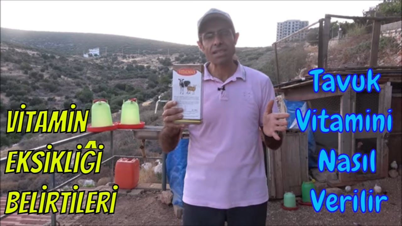 Tavukların İhtiyaç Duyduğu Vitaminler 🐓🐔🐥