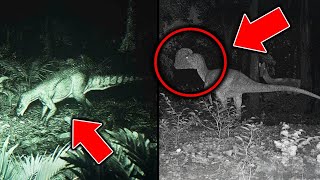 【ゆっくり解説】本物だった   ジャングルで撮影された未確認生物UMA８選【UMA・未確認生物】