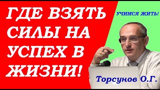 Где взять силы на успех в жизни? Учимся жить. Торсунов О.Г.