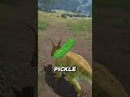 Earning the trust of a baby dinosaur