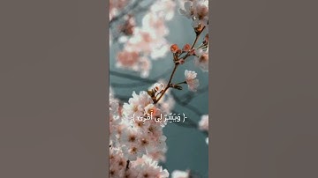 (قَالَ رَبِّ اشْرَحْ لِي صَدْرِي) القارئ شريف مصطفى