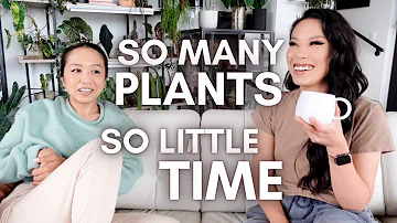 Managing a large collection on a busy schedule: chit chat with @unplantparenthood 👯‍♀️☕️