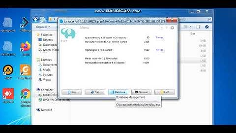 Laragon cara import database dengan heidisql