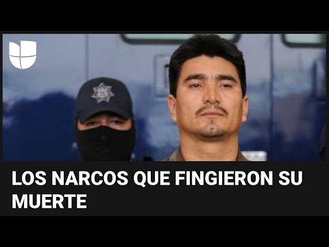 El narco que murió dos veces: la estrategia de los capos para que dejen de perseguirlos