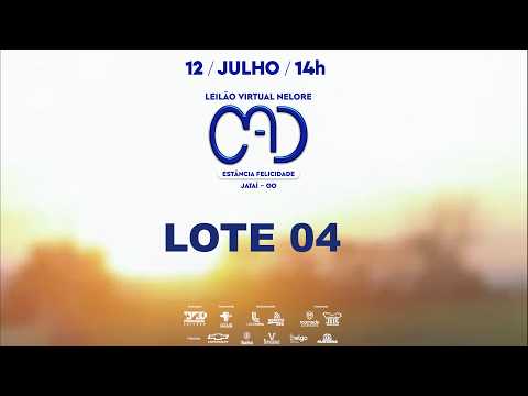 LOTE 04