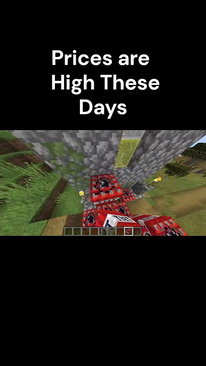 Prices are High These Days #memes #funny #minecraft #gaming