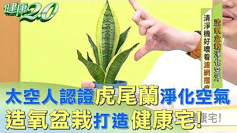 太空人認證虎尾蘭有效淨化空氣 打造健康宅！ 健康2.0 - 天天要聞