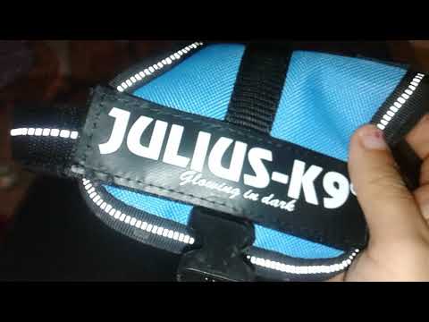 Luca's Geschirre, Halsband