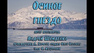 Осиное гнездо